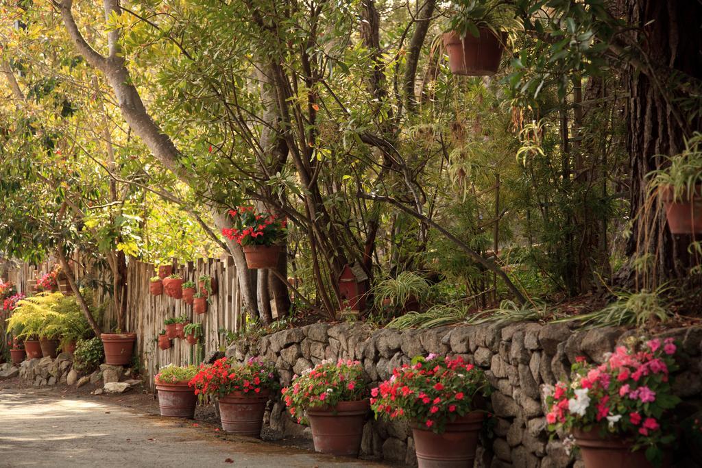 Old Monterey Inn 외부 사진